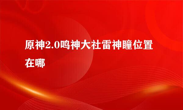 原神2.0鸣神大社雷神瞳位置在哪