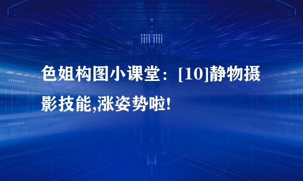 色姐构图小课堂：[10]静物摄影技能,涨姿势啦!