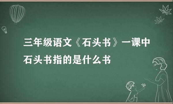 三年级语文《石头书》一课中石头书指的是什么书
