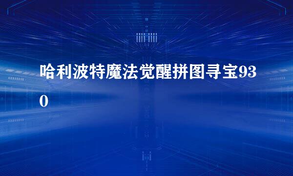 哈利波特魔法觉醒拼图寻宝930