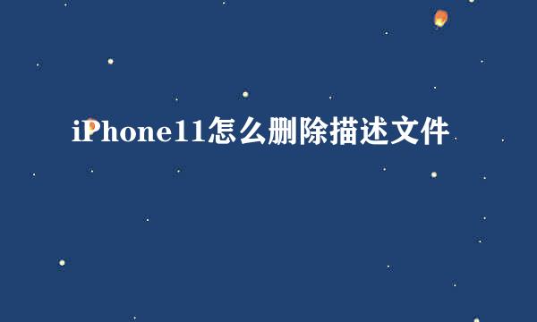 iPhone11怎么删除描述文件