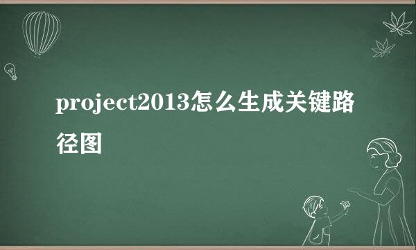 project2013怎么生成关键路径图