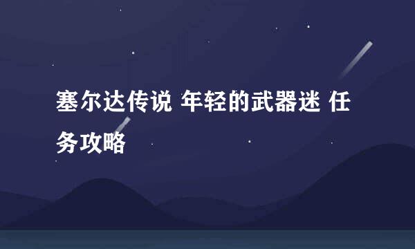 塞尔达传说 年轻的武器迷 任务攻略