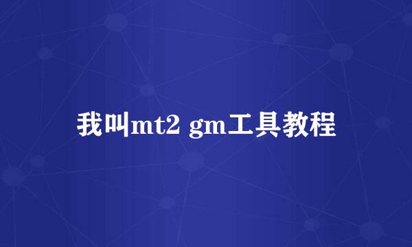 我叫mt2 gm工具教程
