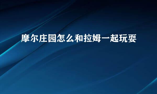 摩尔庄园怎么和拉姆一起玩耍