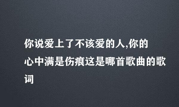 你说爱上了不该爱的人,你的心中满是伤痕这是哪首歌曲的歌词