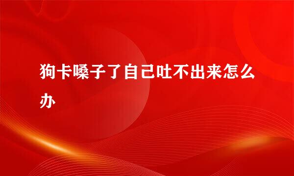 狗卡嗓子了自己吐不出来怎么办