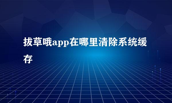 拔草哦app在哪里清除系统缓存