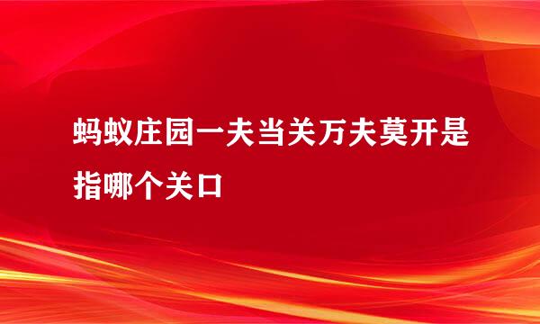 蚂蚁庄园一夫当关万夫莫开是指哪个关口