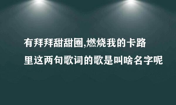 有拜拜甜甜圈,燃烧我的卡路里这两句歌词的歌是叫啥名字呢