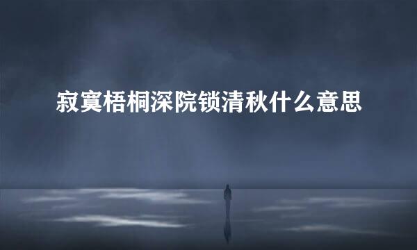 寂寞梧桐深院锁清秋什么意思