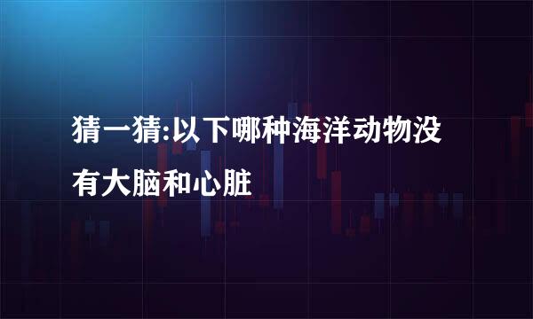 猜一猜:以下哪种海洋动物没有大脑和心脏