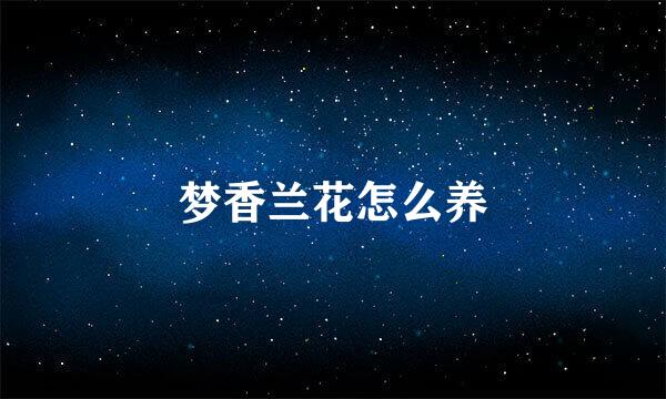 梦香兰花怎么养