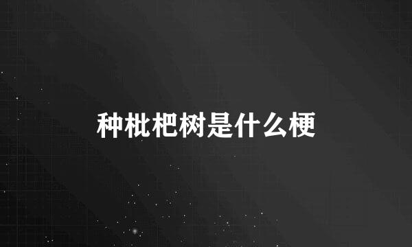 种枇杷树是什么梗