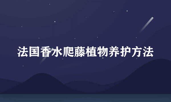 法国香水爬藤植物养护方法