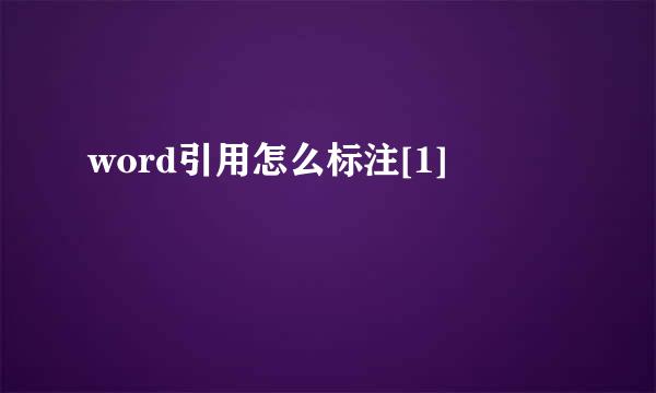 word引用怎么标注[1]