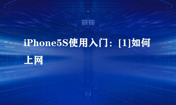 iPhone5S使用入门：[1]如何上网