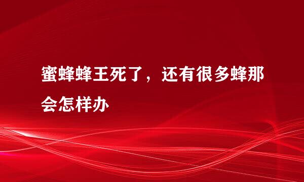 蜜蜂蜂王死了，还有很多蜂那会怎样办