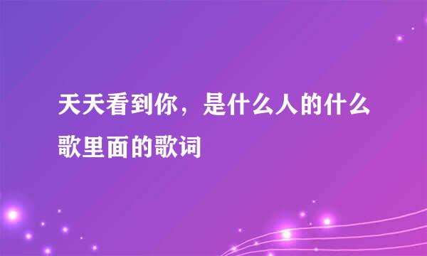 天天看到你，是什么人的什么歌里面的歌词