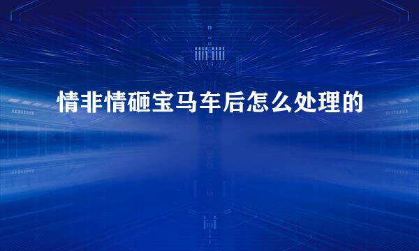 情非情砸宝马车后怎么处理的