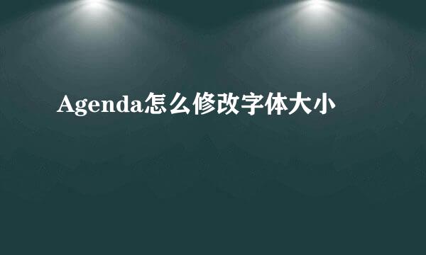 Agenda怎么修改字体大小