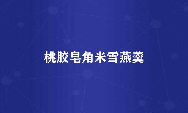 桃胶皂角米雪燕羹