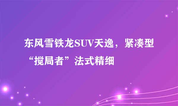 东风雪铁龙SUV天逸，紧凑型“搅局者”法式精细