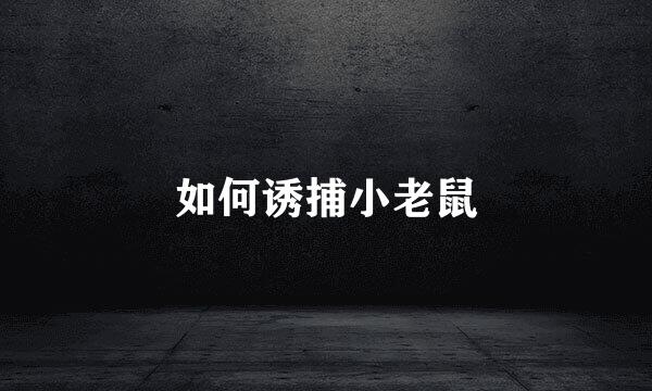 如何诱捕小老鼠