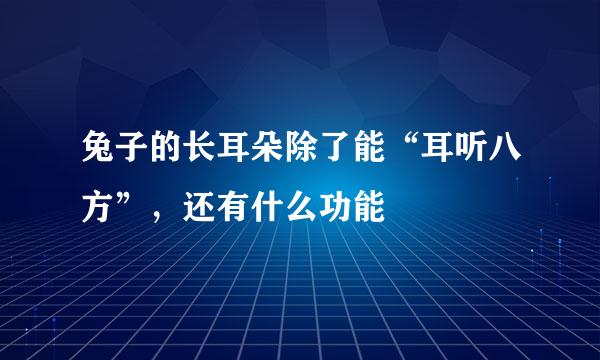 兔子的长耳朵除了能“耳听八方”，还有什么功能