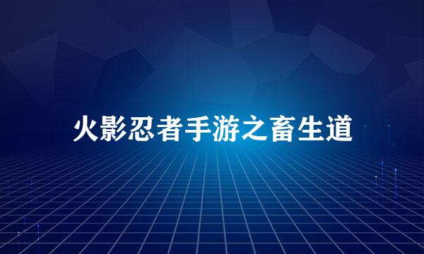 火影忍者手游之畜生道