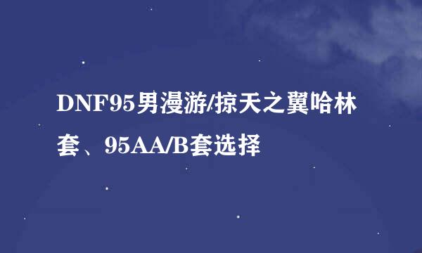 DNF95男漫游/掠天之翼哈林套、95AA/B套选择