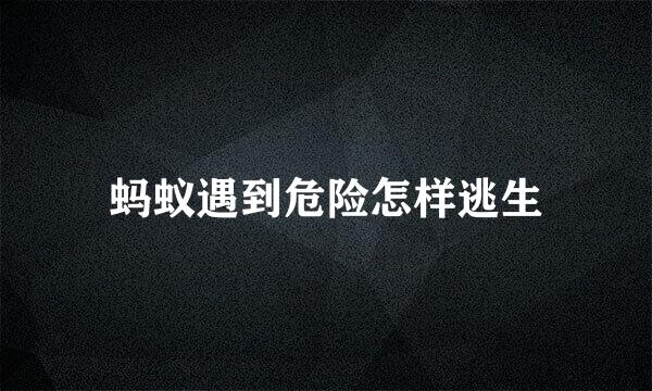 蚂蚁遇到危险怎样逃生