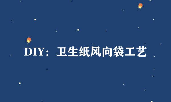 DIY：卫生纸风向袋工艺