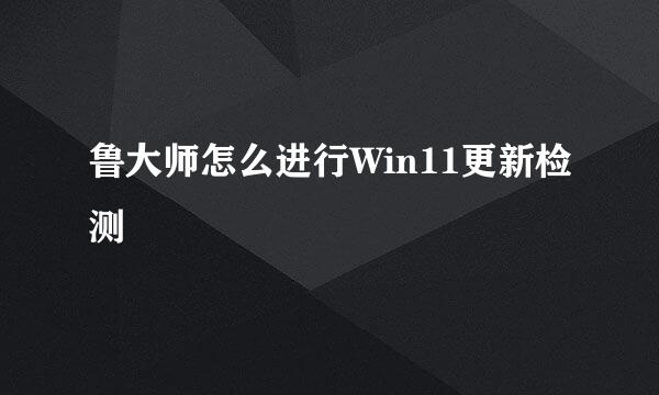 鲁大师怎么进行Win11更新检测