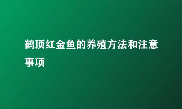 鹤顶红金鱼的养殖方法和注意事项