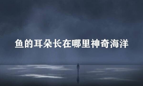 鱼的耳朵长在哪里神奇海洋