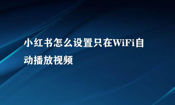 小红书怎么设置只在WiFi自动播放视频
