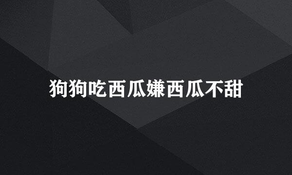 狗狗吃西瓜嫌西瓜不甜
