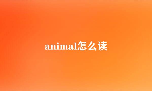 animal怎么读