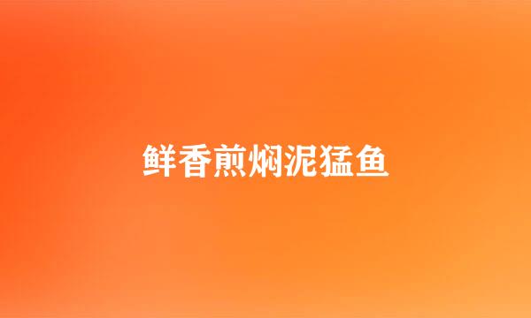 鲜香煎焖泥猛鱼