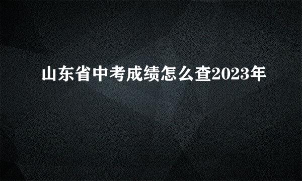 山东省中考成绩怎么查2023年