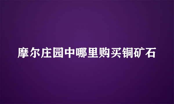 摩尔庄园中哪里购买铜矿石