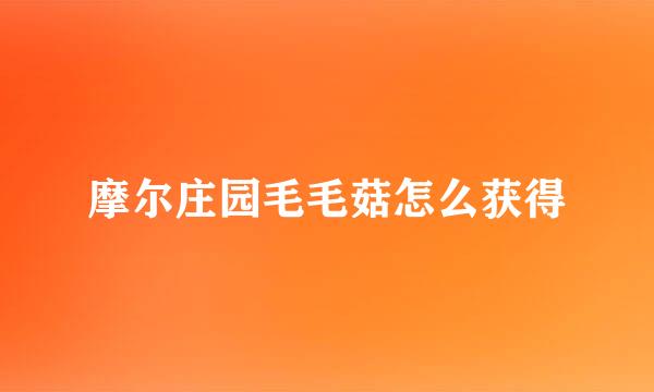 摩尔庄园毛毛菇怎么获得