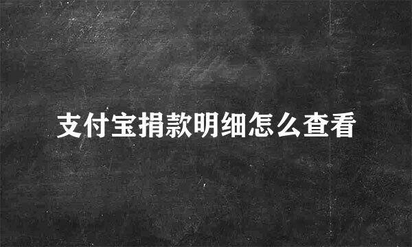 支付宝捐款明细怎么查看