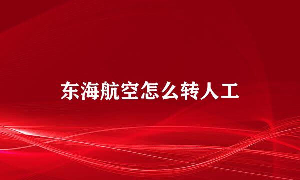 东海航空怎么转人工