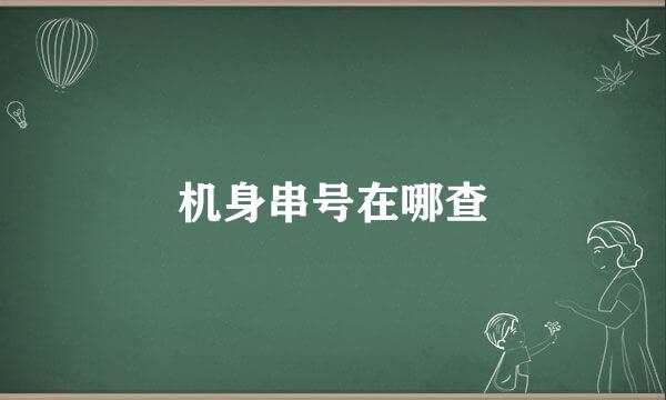 机身串号在哪查