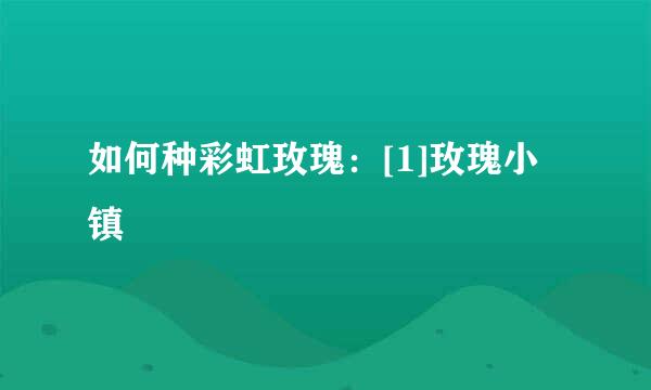 如何种彩虹玫瑰：[1]玫瑰小镇