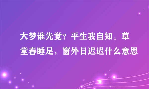 大梦谁先觉？平生我自知。草堂春睡足，窗外日迟迟什么意思