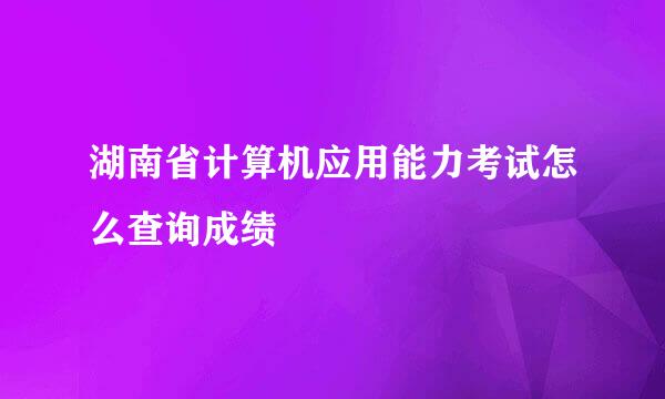 湖南省计算机应用能力考试怎么查询成绩