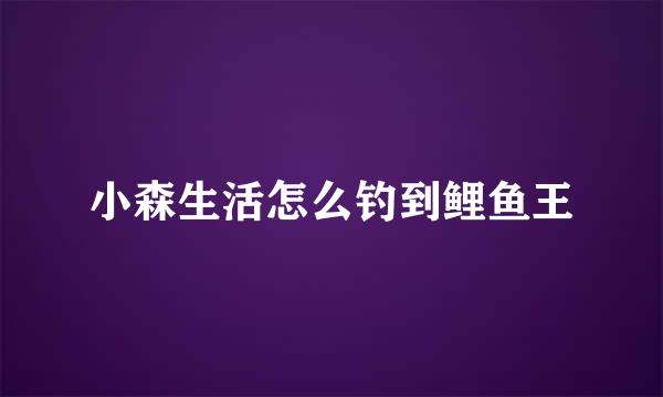 小森生活怎么钓到鲤鱼王